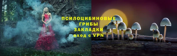 герыч Медногорск