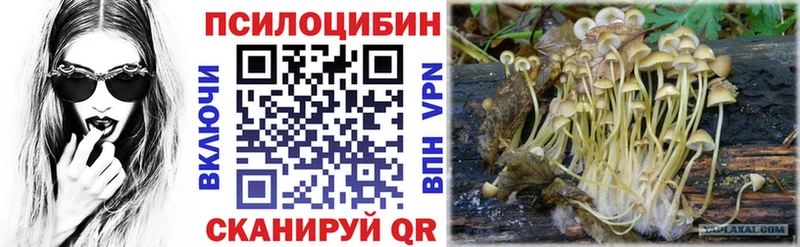 Псилоцибиновые грибы Psilocybe  кракен ССЫЛКА  Рославль 
